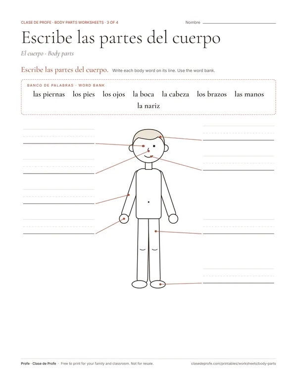Worksheet: an outline figure of a child with blank label lines pointing to the head, arms, hands, legs and feet, and a word bank